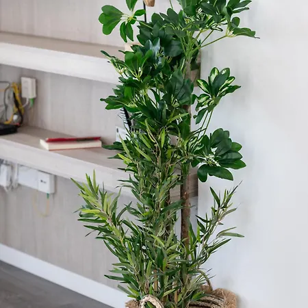 Lazuli Beachfront Sea View Ap144 *