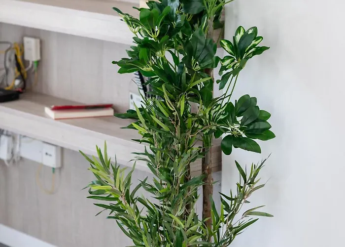 Lazuli Beachfront Sea View Ap144 *